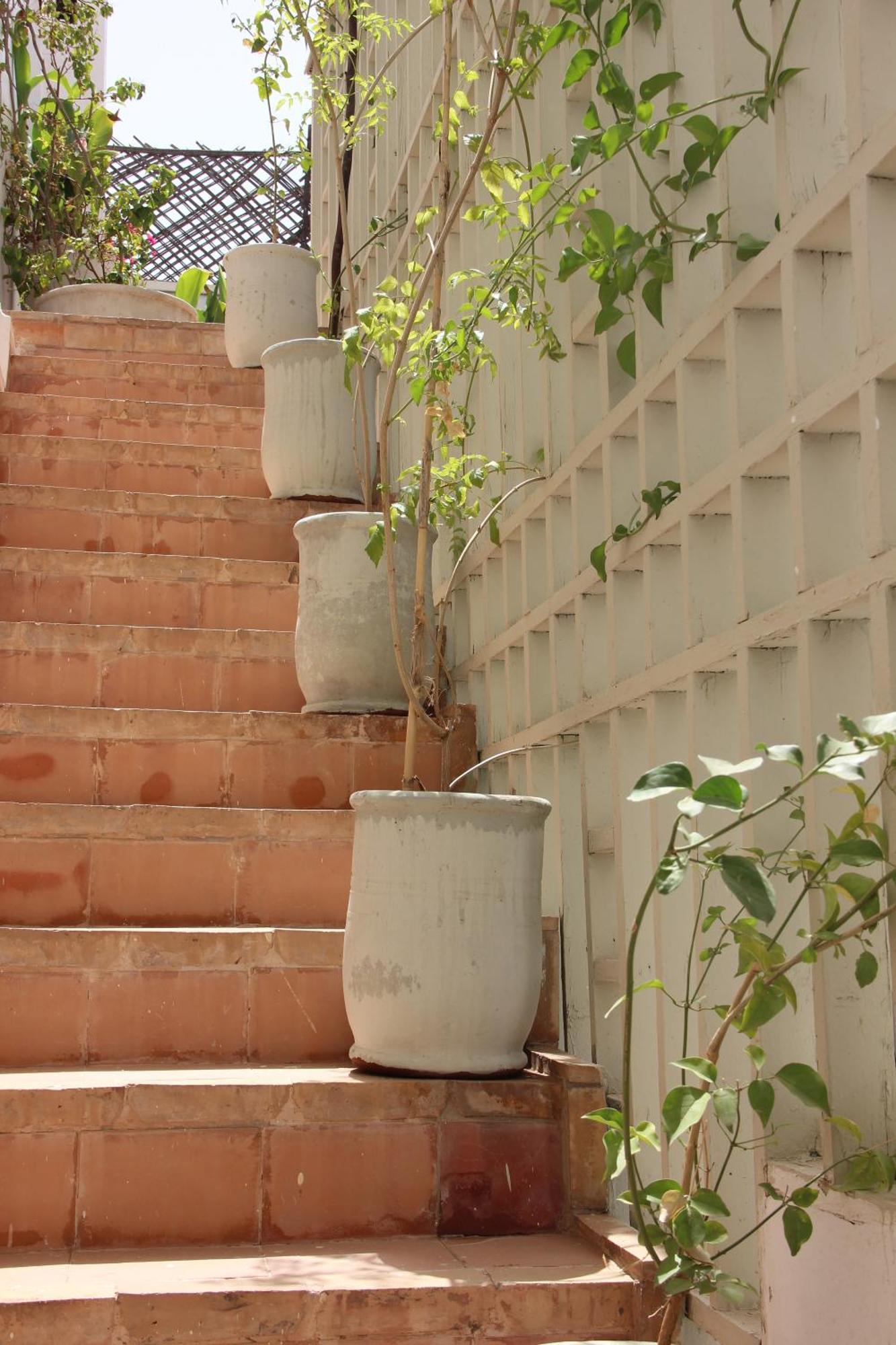 Riad Dar Nael Marrakesh Bagian luar foto